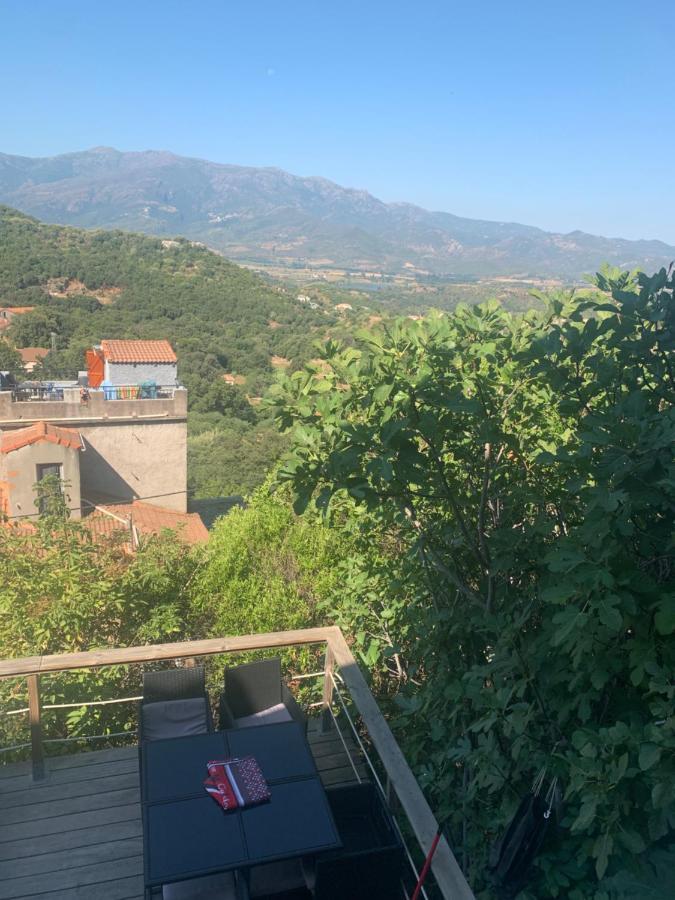Maison Typique Corse Oletta  Luaran gambar